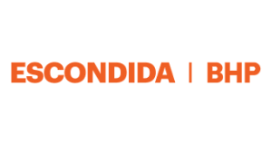 logo escondida
