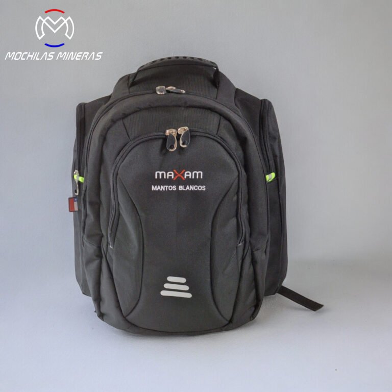 Mochila Lexus 2024